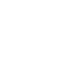 white rose
